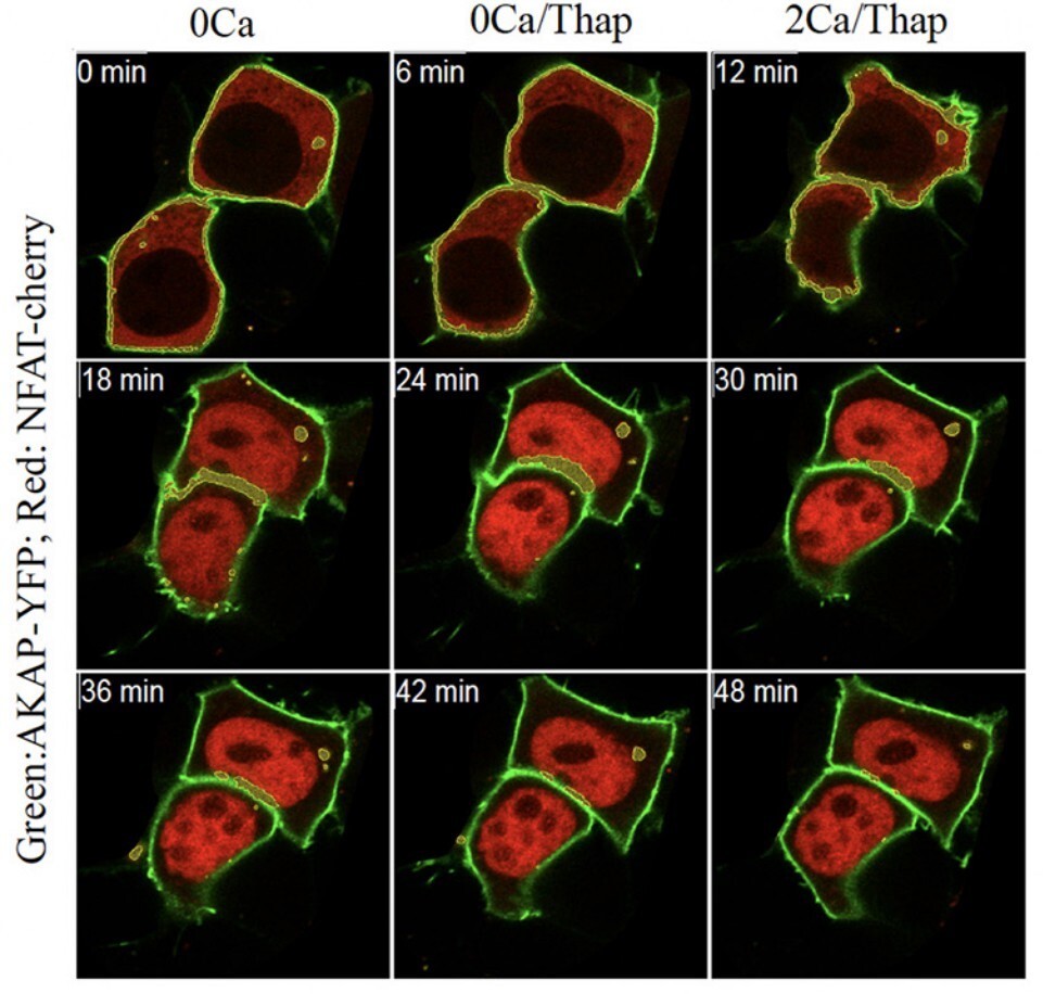 research 3 picture